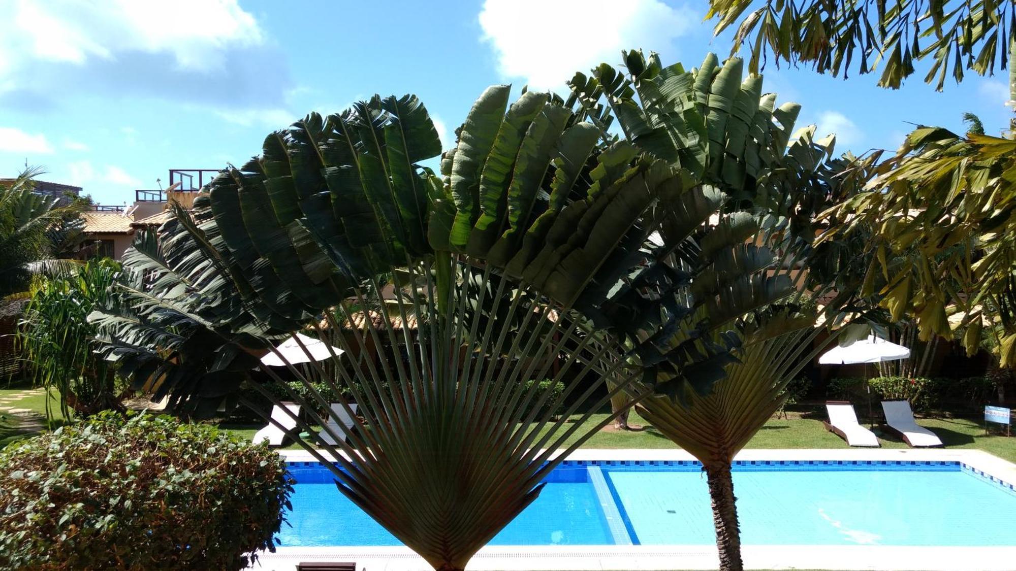 Unidades Vilas Triplex No Pipa Beleza Praia de Pipa エクステリア 写真
